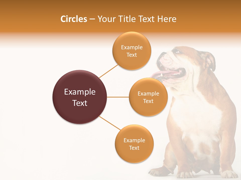 Bulldog PowerPoint Template