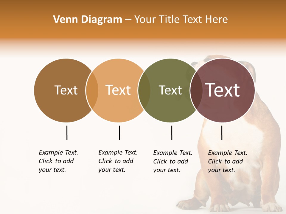 Bulldog PowerPoint Template