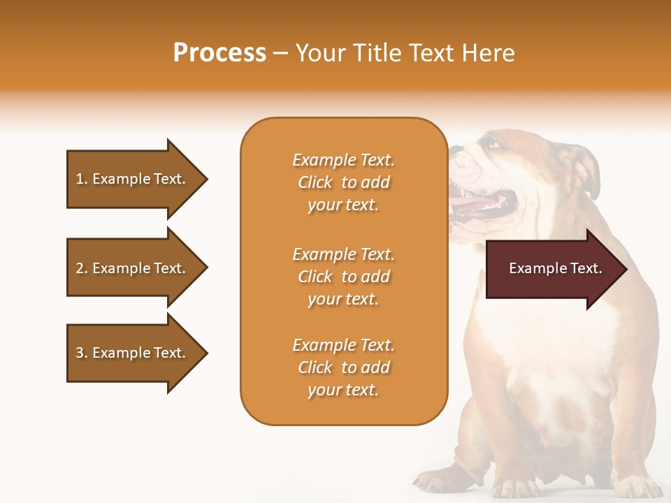 Bulldog PowerPoint Template