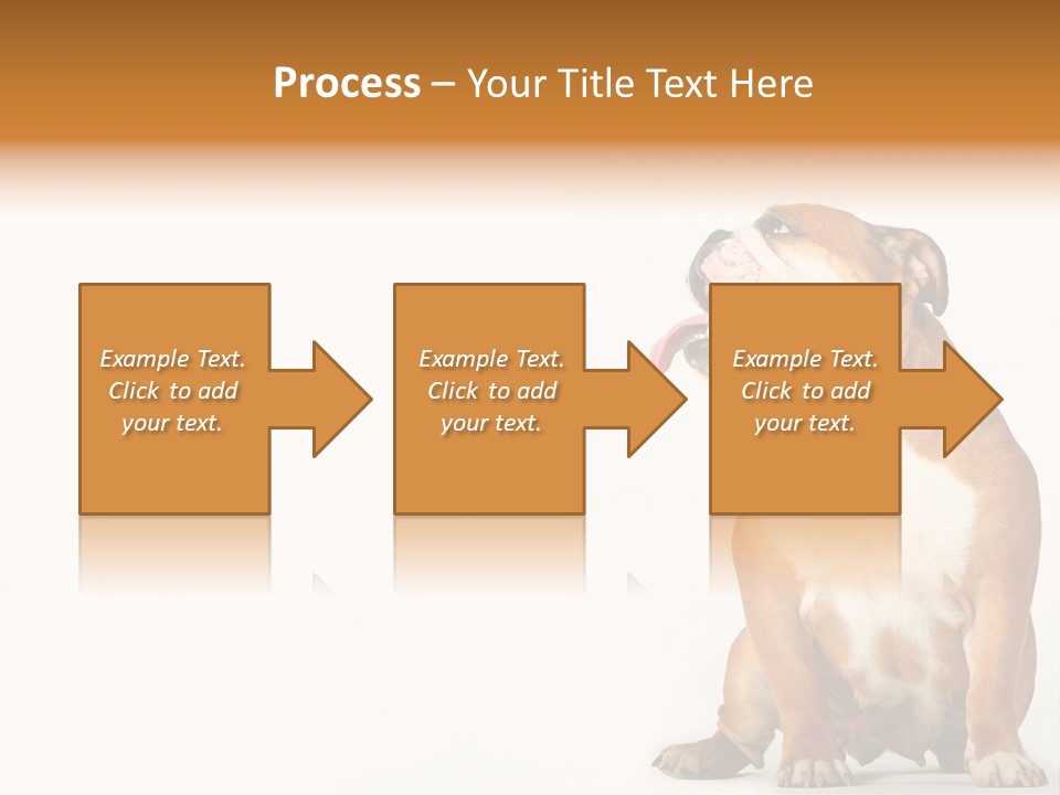 Bulldog PowerPoint Template