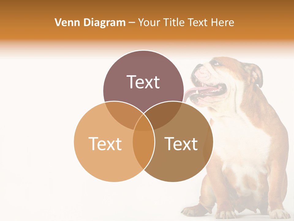 Bulldog PowerPoint Template