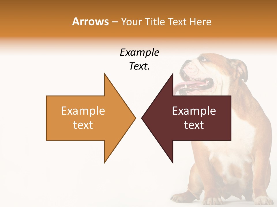 Bulldog PowerPoint Template