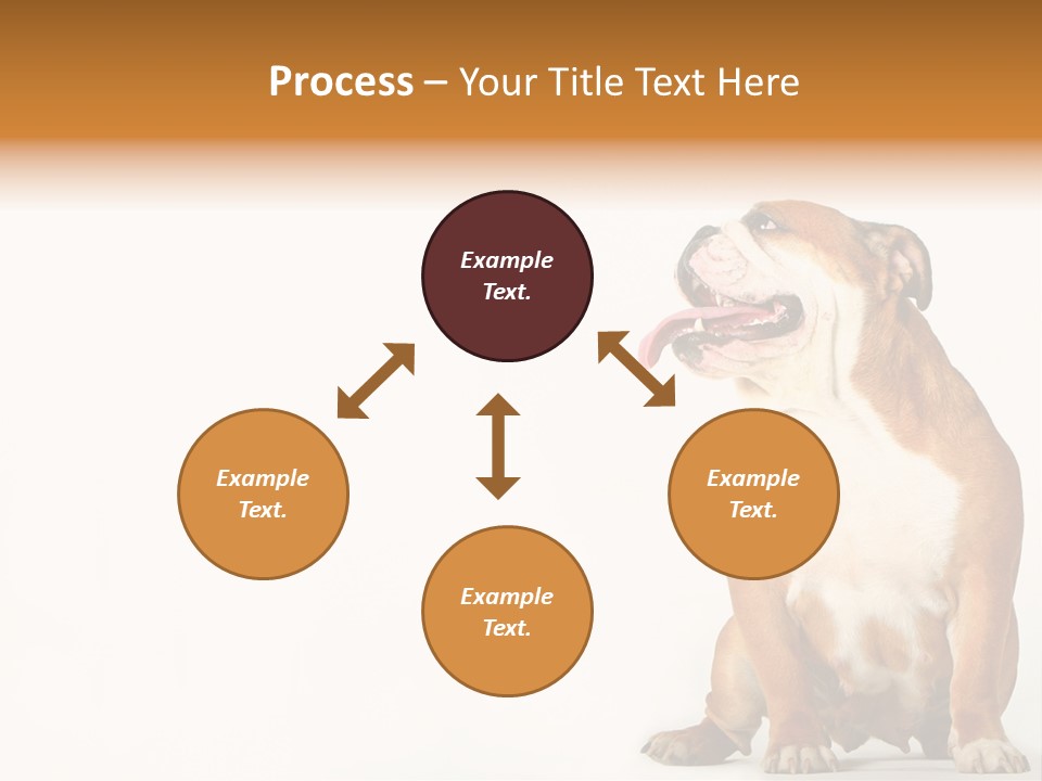 Bulldog PowerPoint Template