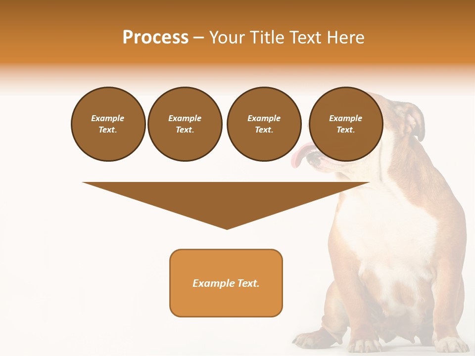 Bulldog PowerPoint Template