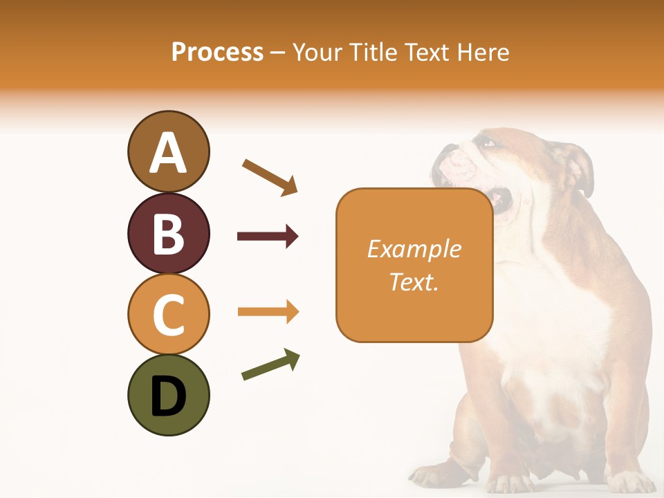 Bulldog PowerPoint Template