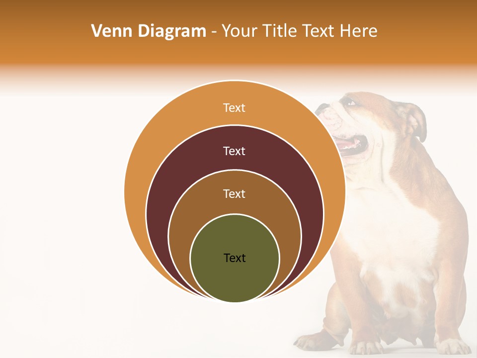 Bulldog PowerPoint Template