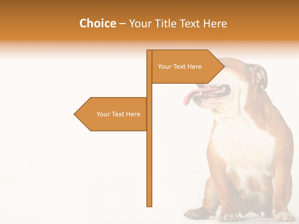 Bulldog PowerPoint Template