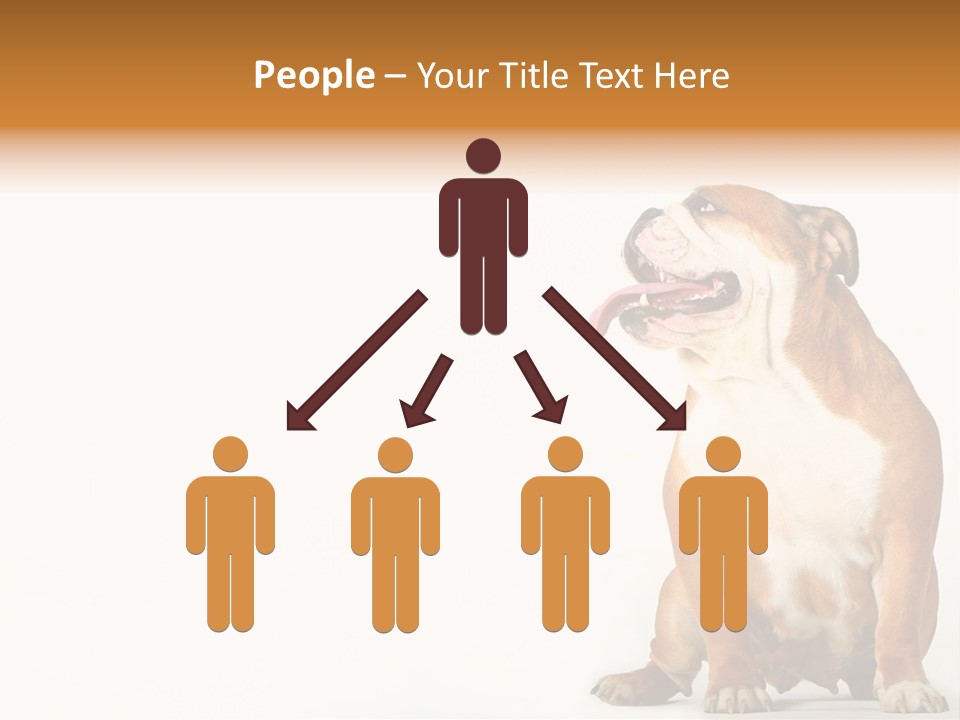 Bulldog PowerPoint Template
