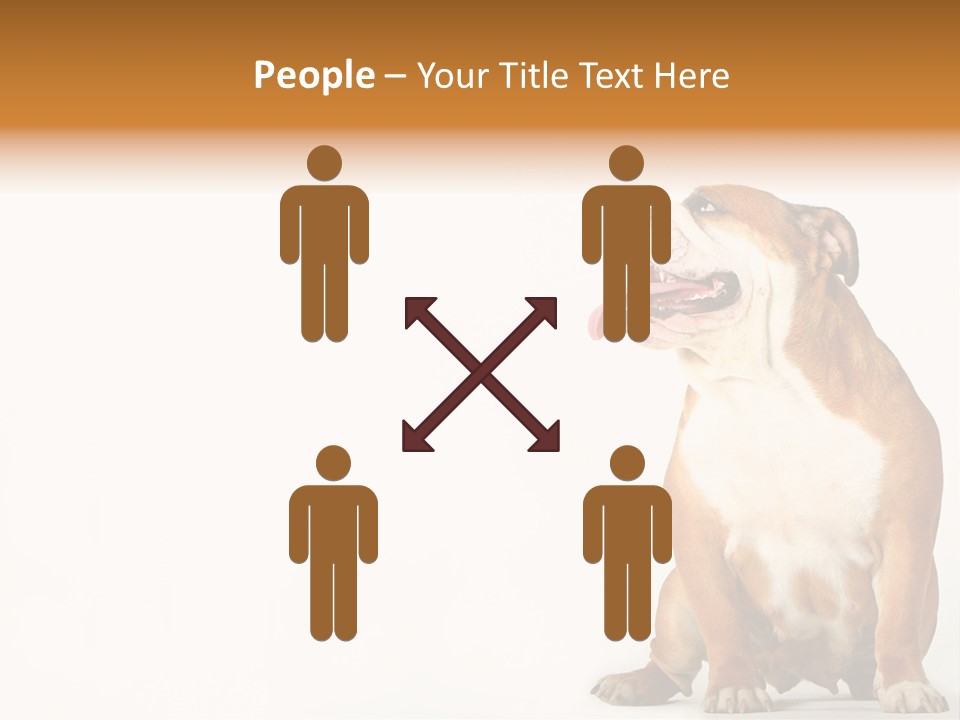 Bulldog PowerPoint Template