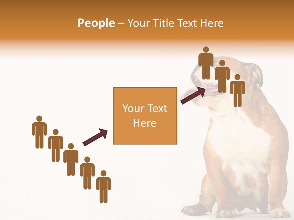 Bulldog PowerPoint Template