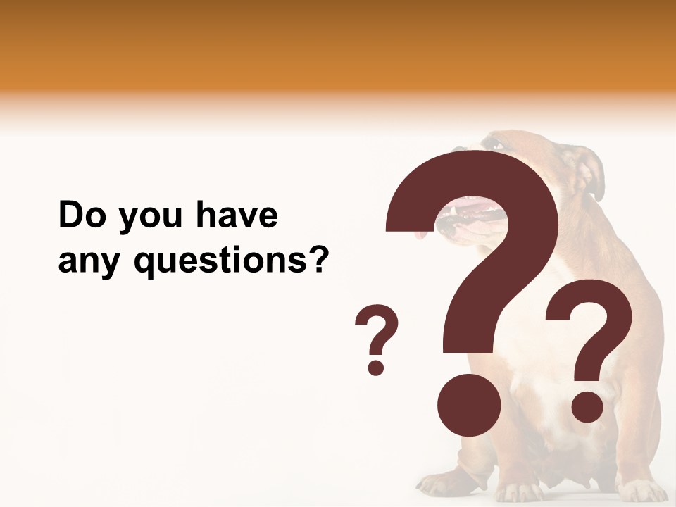 Bulldog PowerPoint Template