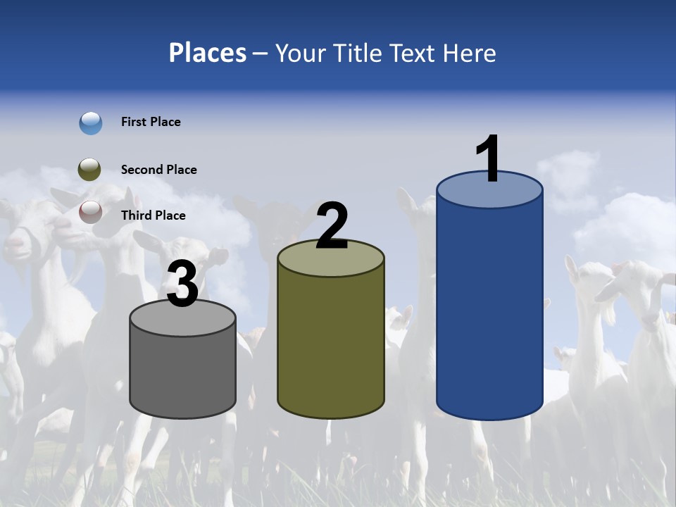 A Herd Of Goats, Seen From Below, Against A Blue Sky PowerPoint Template