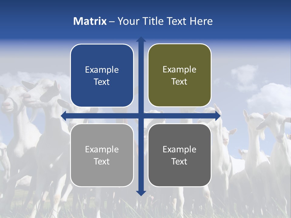 A Herd Of Goats, Seen From Below, Against A Blue Sky PowerPoint Template