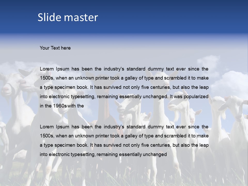 A Herd Of Goats, Seen From Below, Against A Blue Sky PowerPoint Template