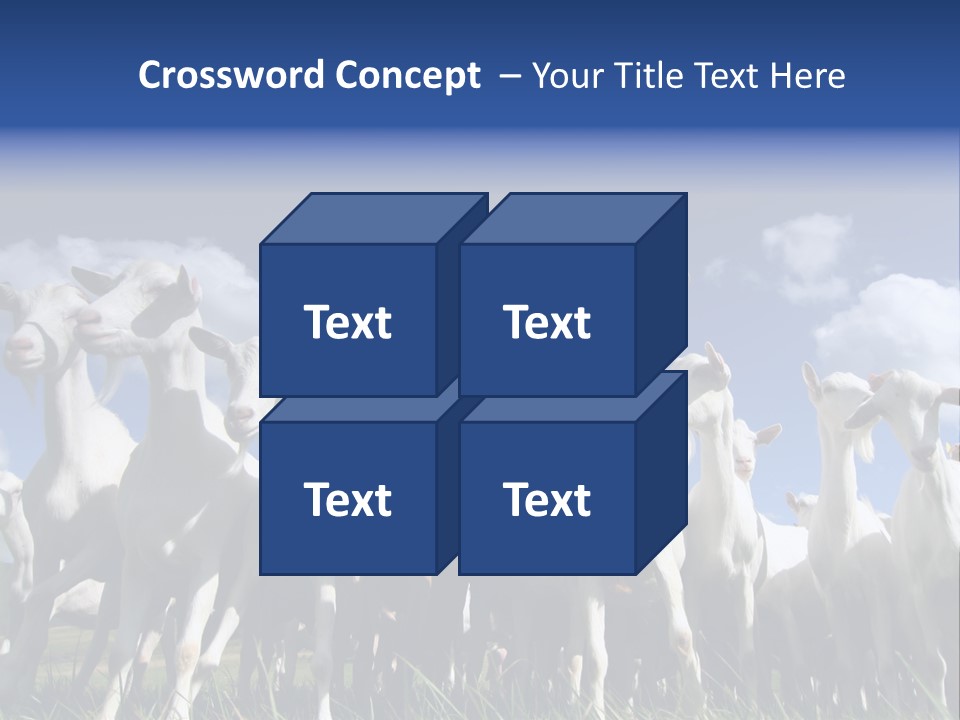 A Herd Of Goats, Seen From Below, Against A Blue Sky PowerPoint Template