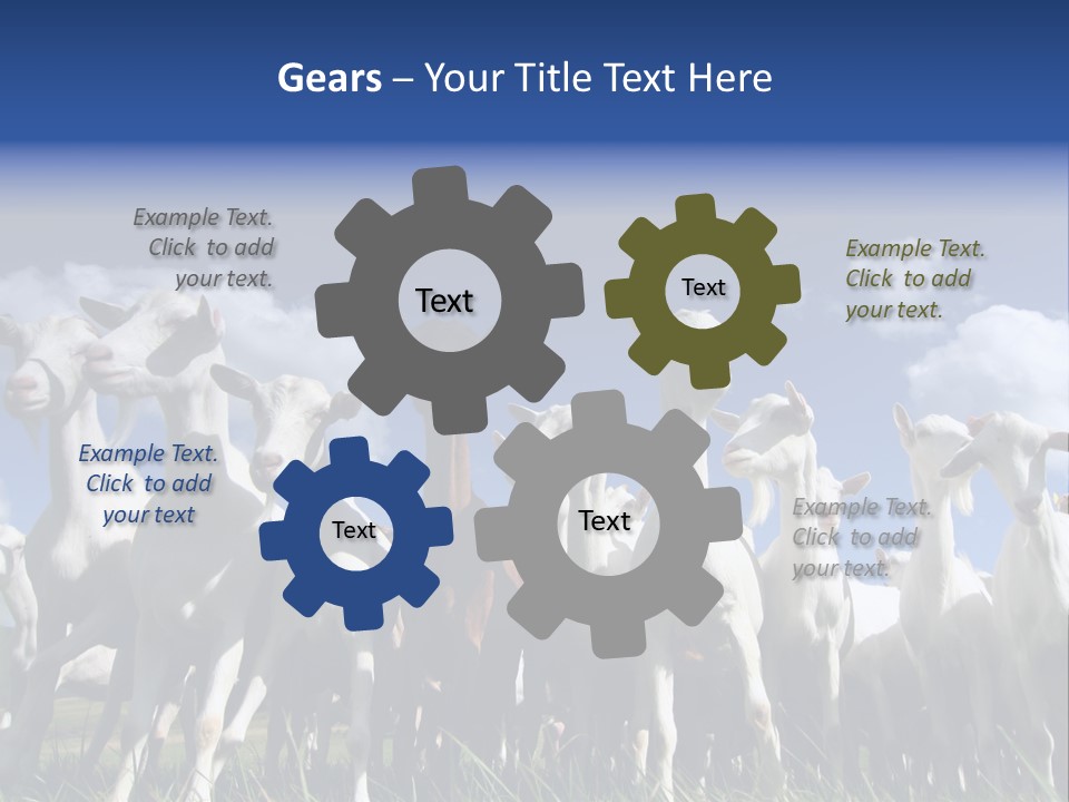 A Herd Of Goats, Seen From Below, Against A Blue Sky PowerPoint Template