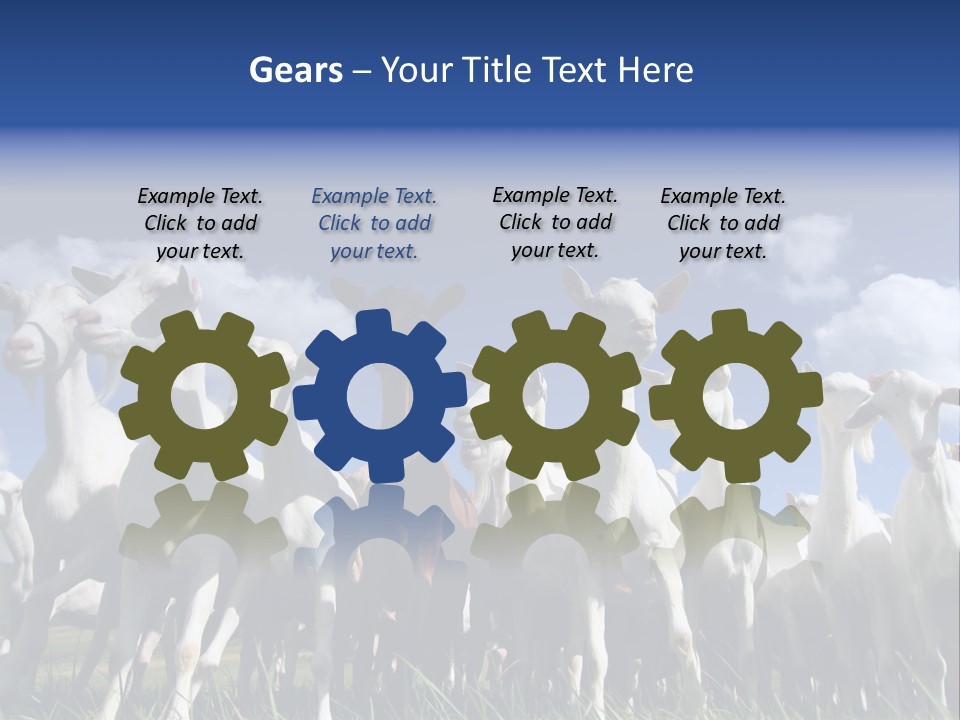 A Herd Of Goats, Seen From Below, Against A Blue Sky PowerPoint Template