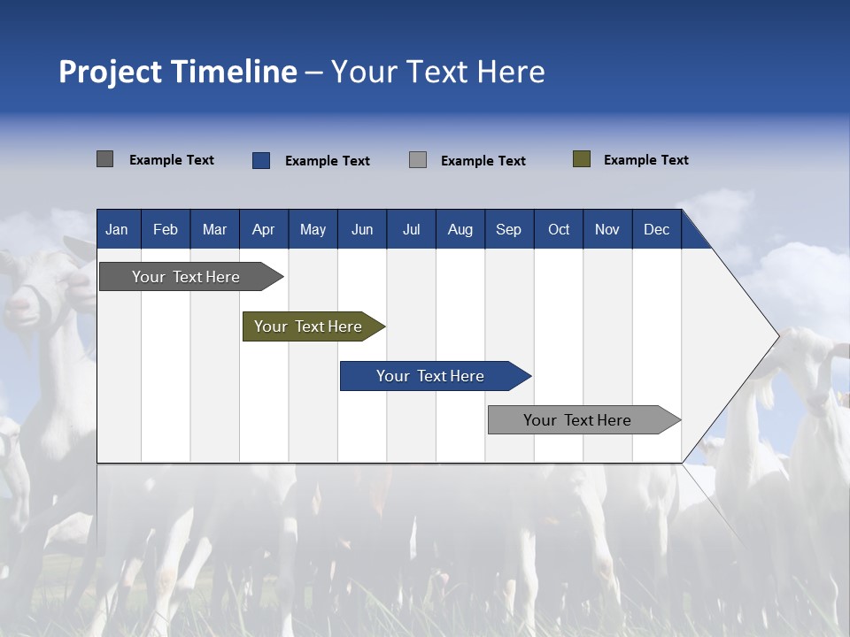 A Herd Of Goats, Seen From Below, Against A Blue Sky PowerPoint Template