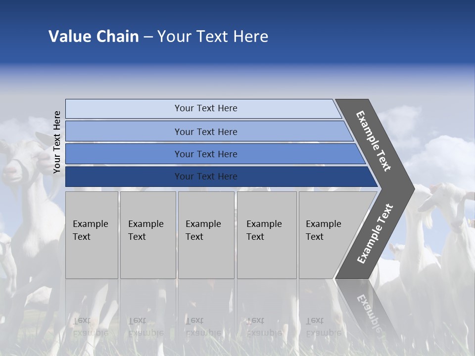 A Herd Of Goats, Seen From Below, Against A Blue Sky PowerPoint Template