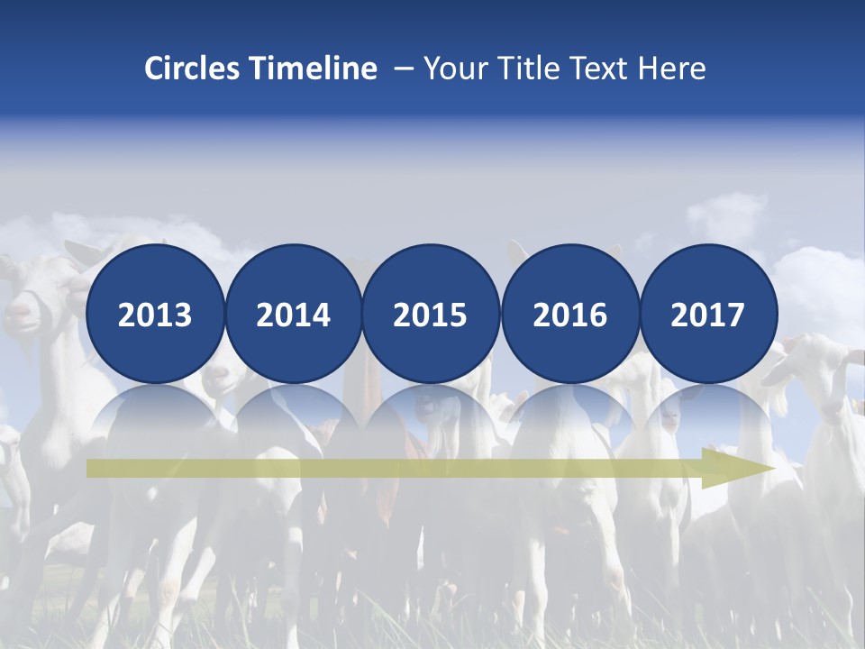 A Herd Of Goats, Seen From Below, Against A Blue Sky PowerPoint Template