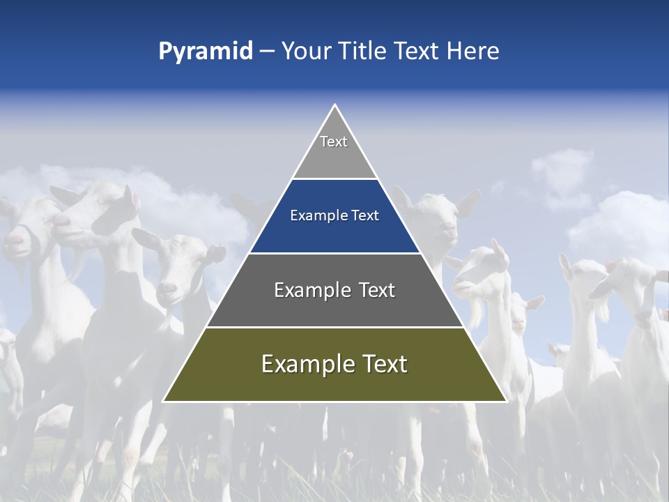 A Herd Of Goats, Seen From Below, Against A Blue Sky PowerPoint Template