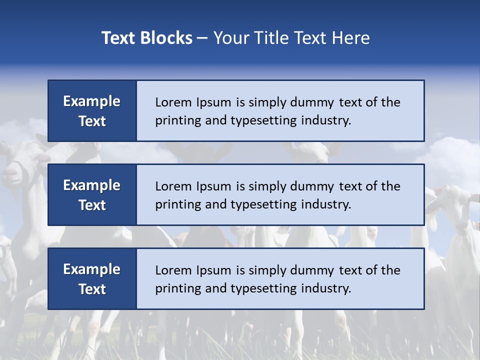 A Herd Of Goats, Seen From Below, Against A Blue Sky PowerPoint Template
