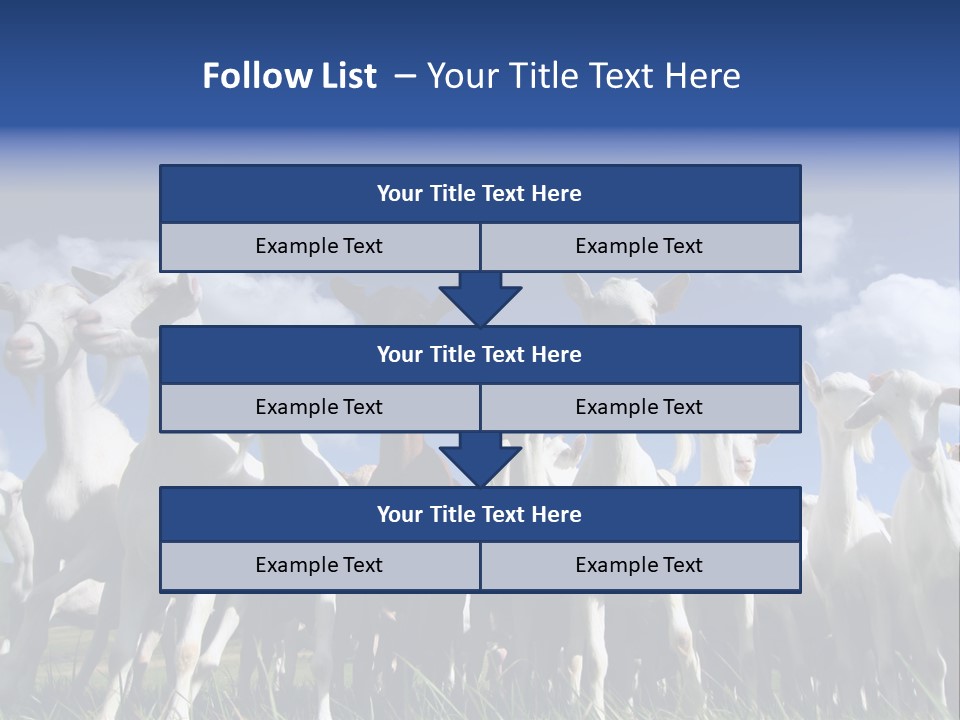 A Herd Of Goats, Seen From Below, Against A Blue Sky PowerPoint Template