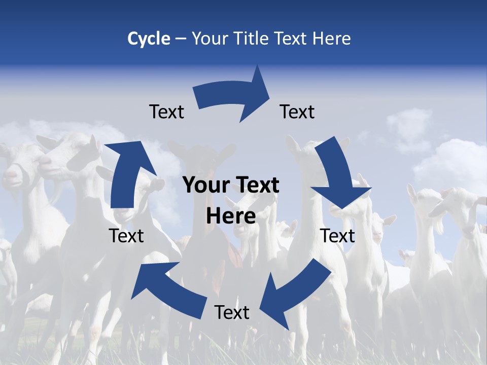 A Herd Of Goats, Seen From Below, Against A Blue Sky PowerPoint Template