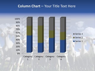 A Herd Of Goats, Seen From Below, Against A Blue Sky PowerPoint Template