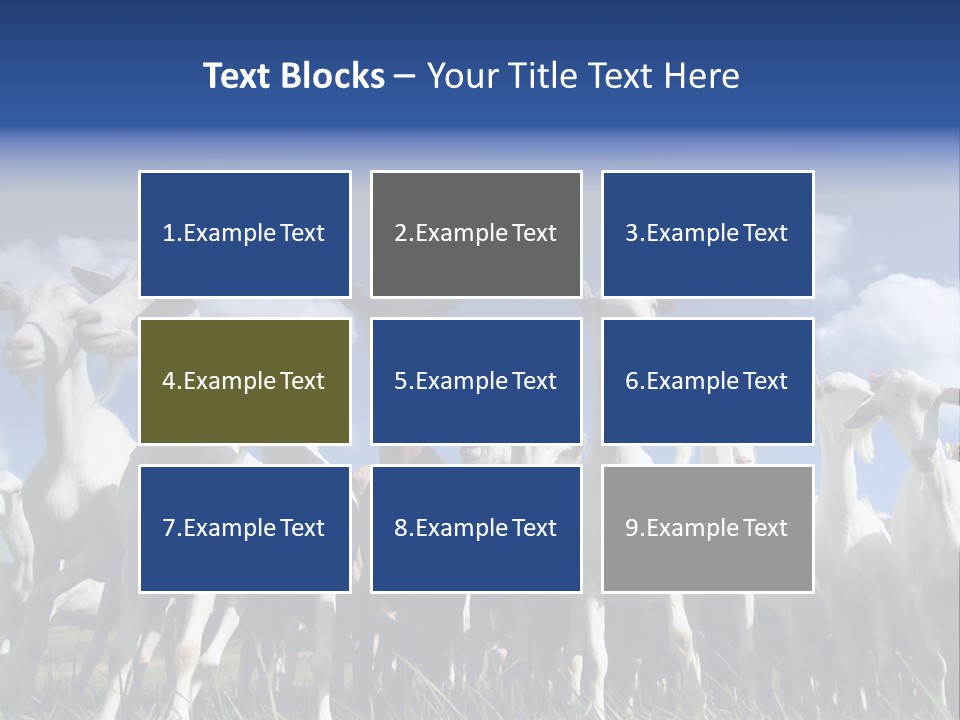 A Herd Of Goats, Seen From Below, Against A Blue Sky PowerPoint Template