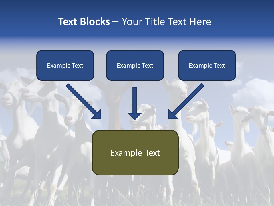 A Herd Of Goats, Seen From Below, Against A Blue Sky PowerPoint Template