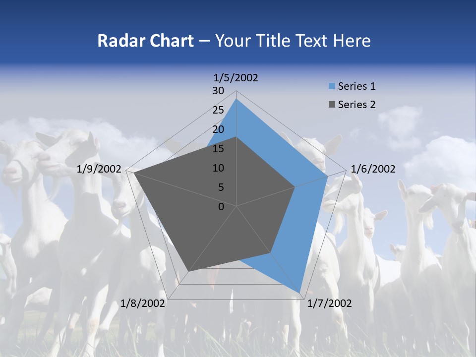 A Herd Of Goats, Seen From Below, Against A Blue Sky PowerPoint Template