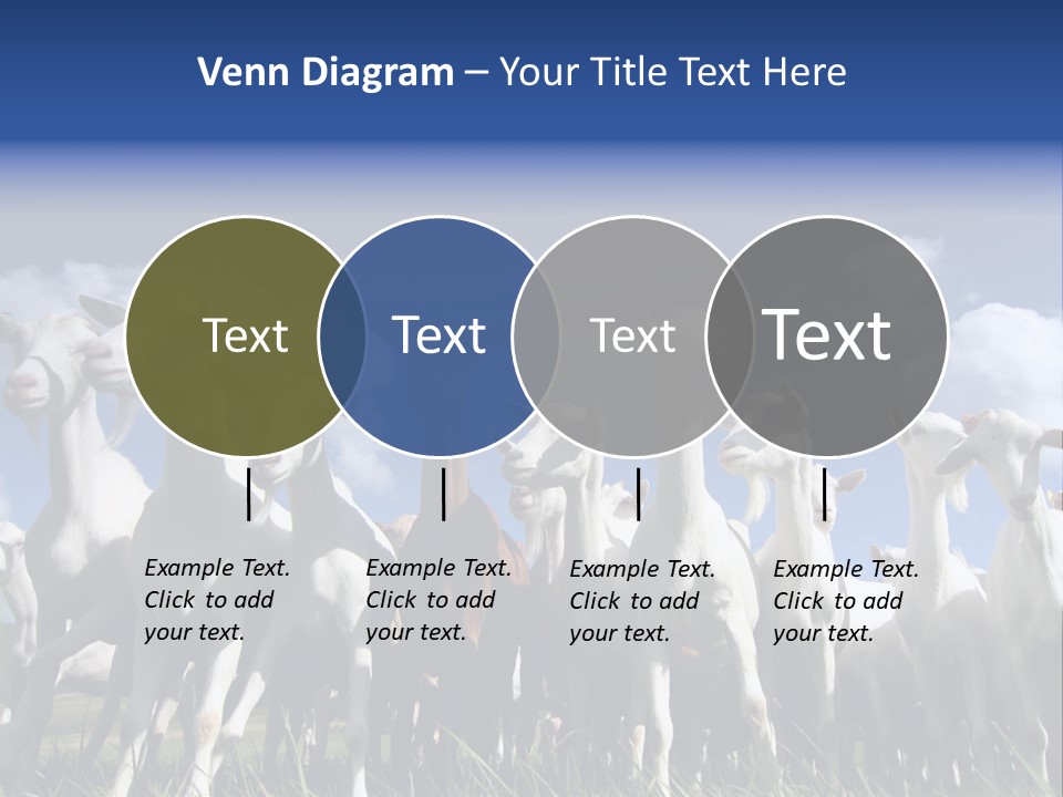 A Herd Of Goats, Seen From Below, Against A Blue Sky PowerPoint Template