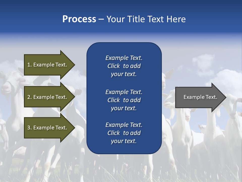 A Herd Of Goats, Seen From Below, Against A Blue Sky PowerPoint Template