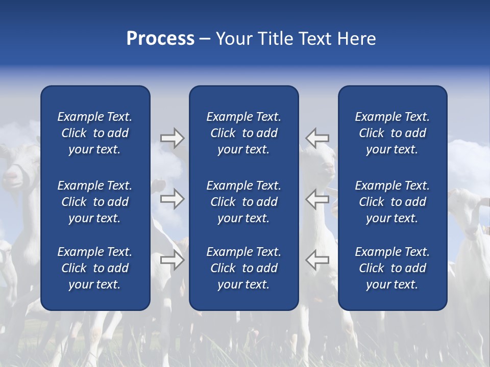 A Herd Of Goats, Seen From Below, Against A Blue Sky PowerPoint Template