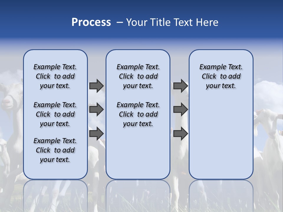 A Herd Of Goats, Seen From Below, Against A Blue Sky PowerPoint Template