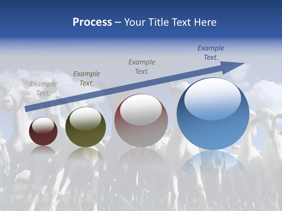 A Herd Of Goats, Seen From Below, Against A Blue Sky PowerPoint Template