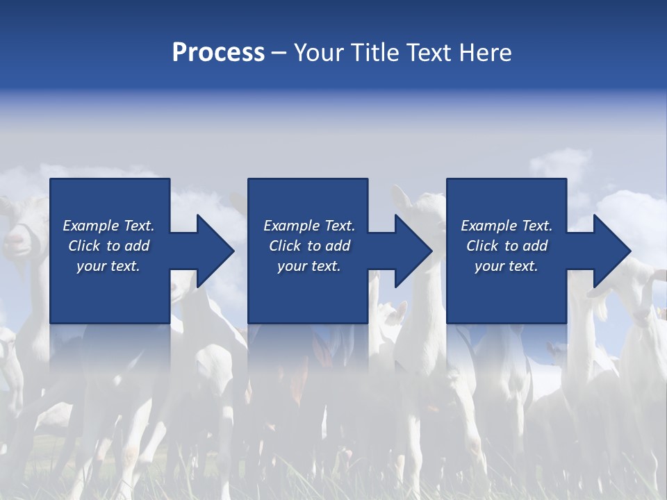 A Herd Of Goats, Seen From Below, Against A Blue Sky PowerPoint Template