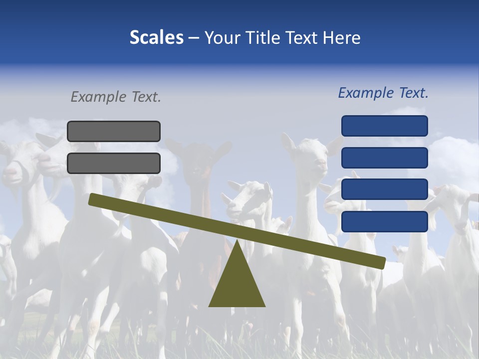 A Herd Of Goats, Seen From Below, Against A Blue Sky PowerPoint Template
