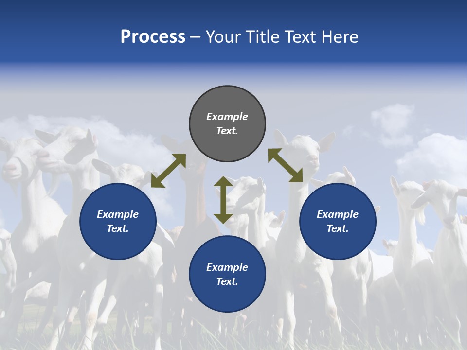 A Herd Of Goats, Seen From Below, Against A Blue Sky PowerPoint Template