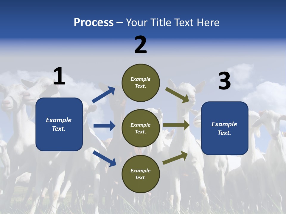 A Herd Of Goats, Seen From Below, Against A Blue Sky PowerPoint Template