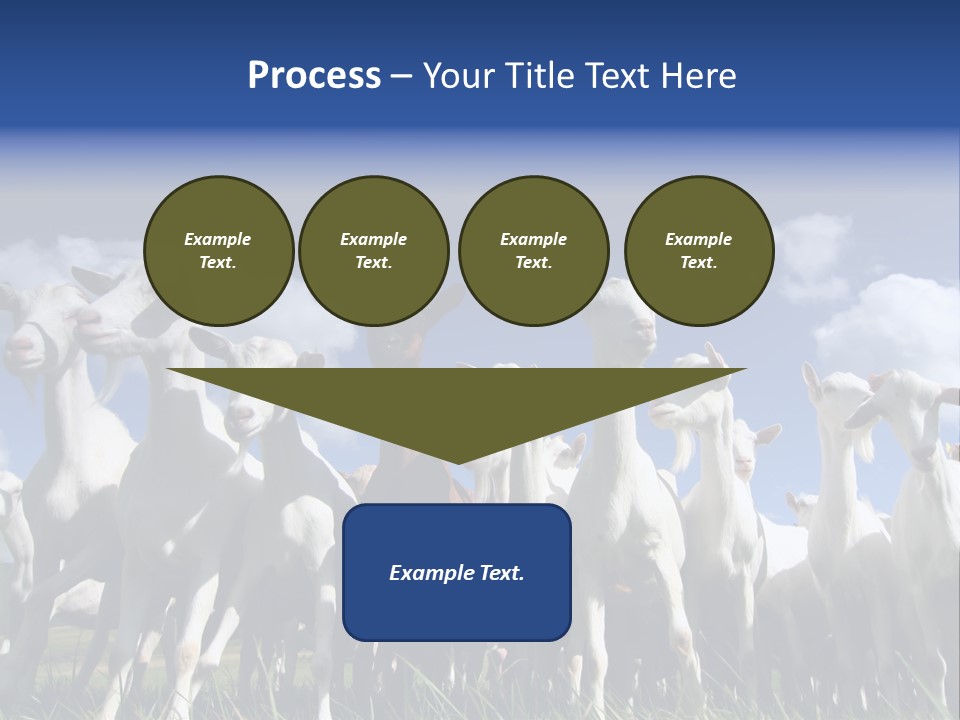 A Herd Of Goats, Seen From Below, Against A Blue Sky PowerPoint Template
