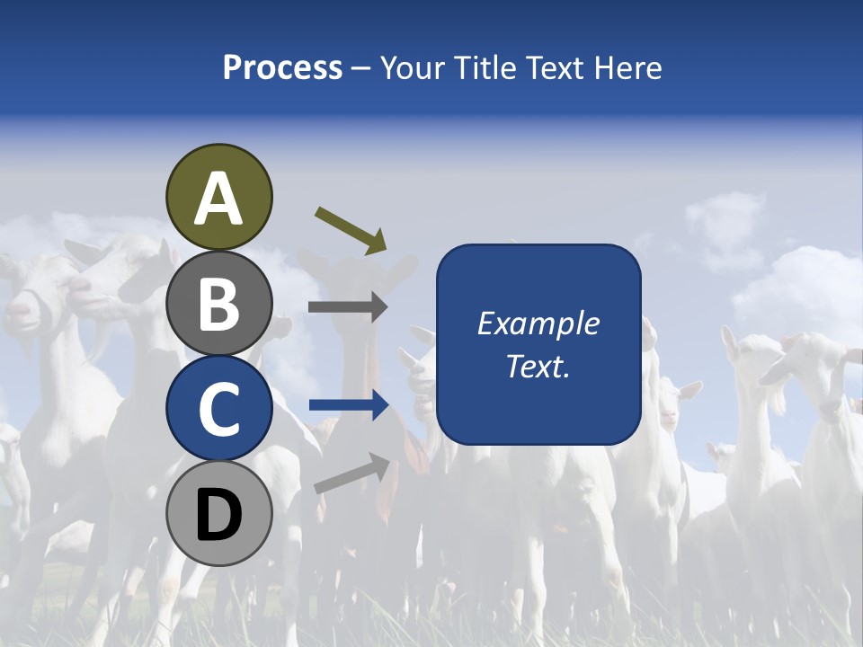 A Herd Of Goats, Seen From Below, Against A Blue Sky PowerPoint Template