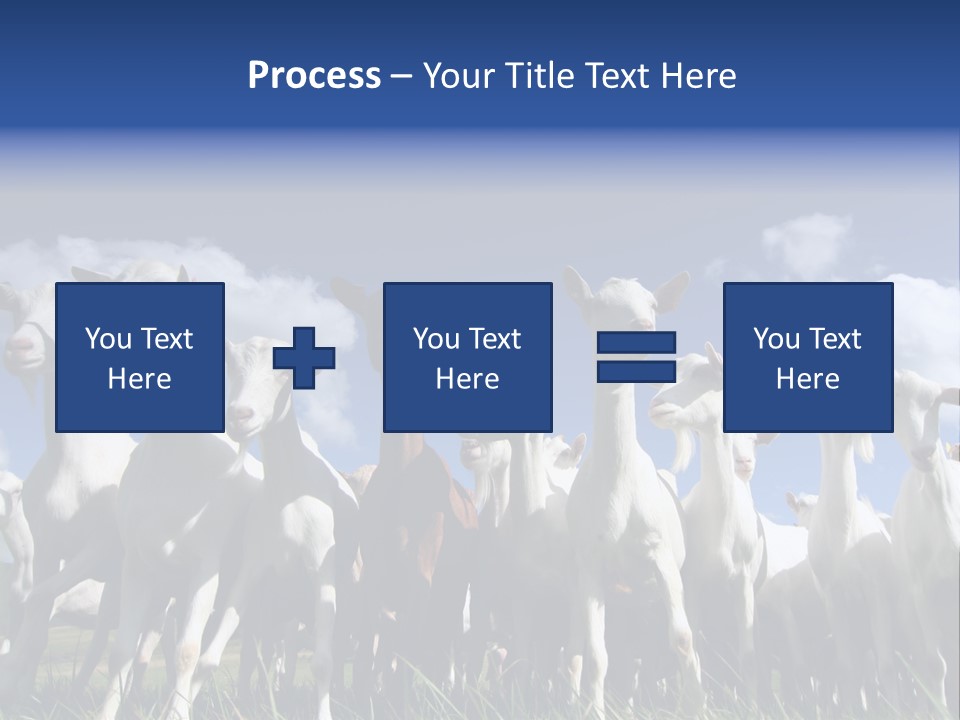 A Herd Of Goats, Seen From Below, Against A Blue Sky PowerPoint Template