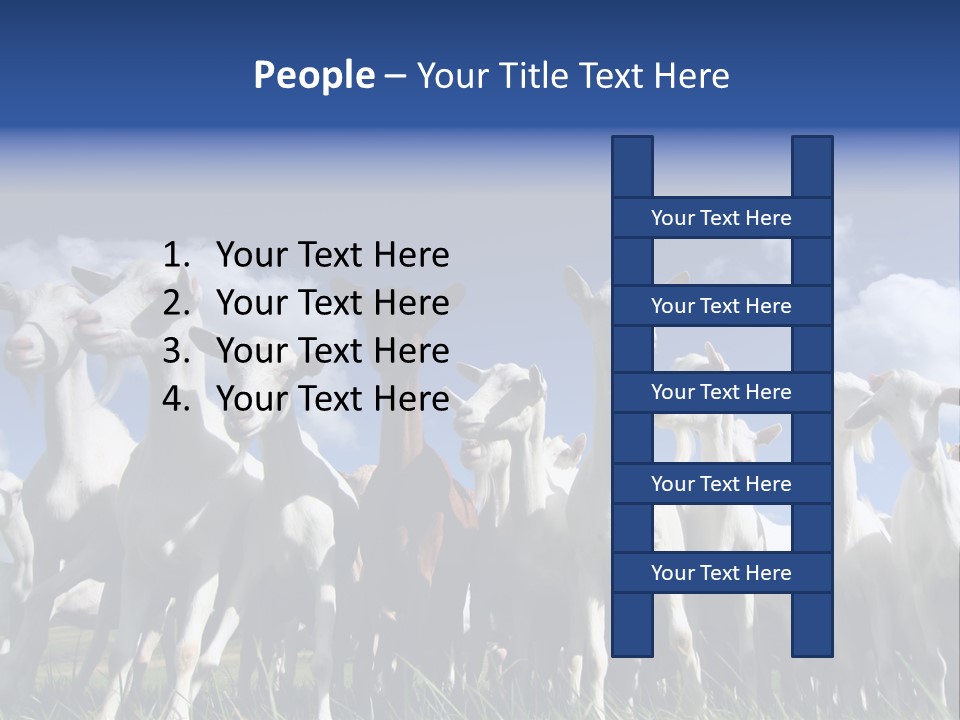 A Herd Of Goats, Seen From Below, Against A Blue Sky PowerPoint Template