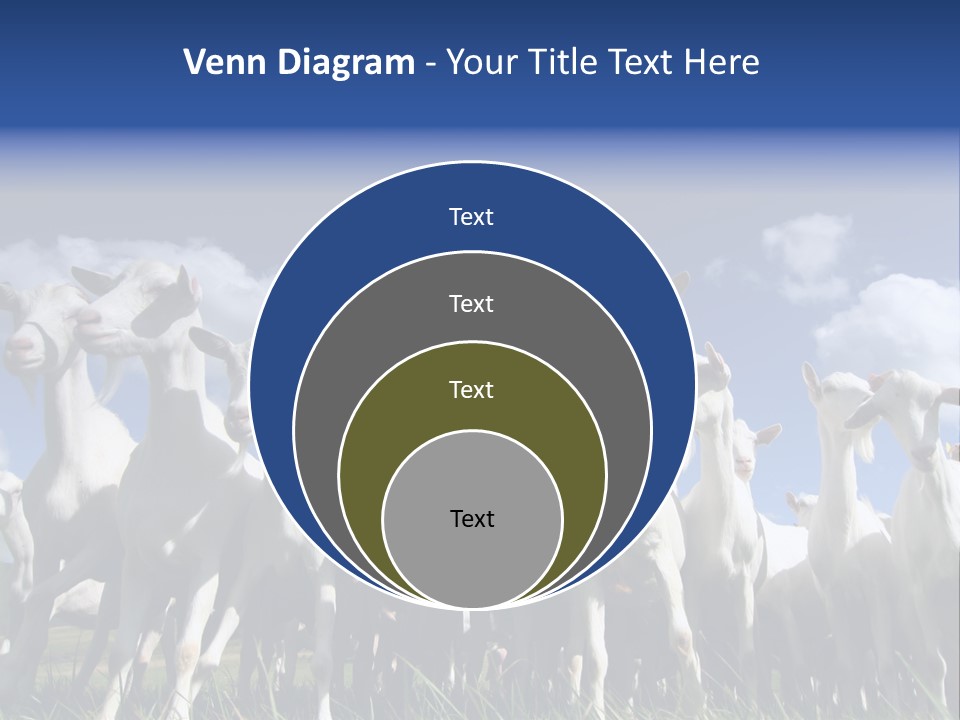A Herd Of Goats, Seen From Below, Against A Blue Sky PowerPoint Template