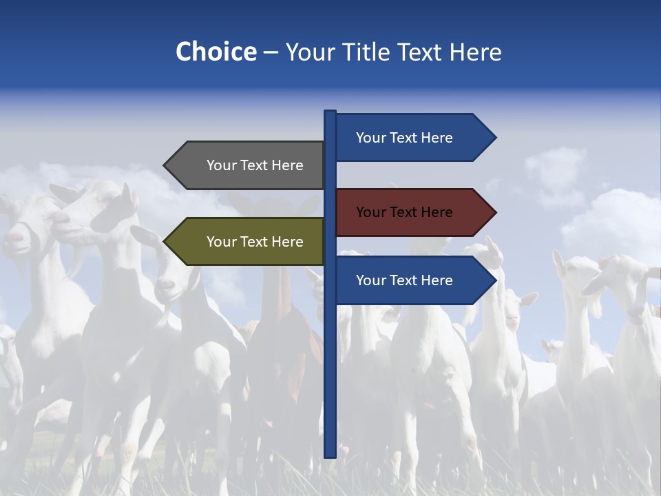 A Herd Of Goats, Seen From Below, Against A Blue Sky PowerPoint Template