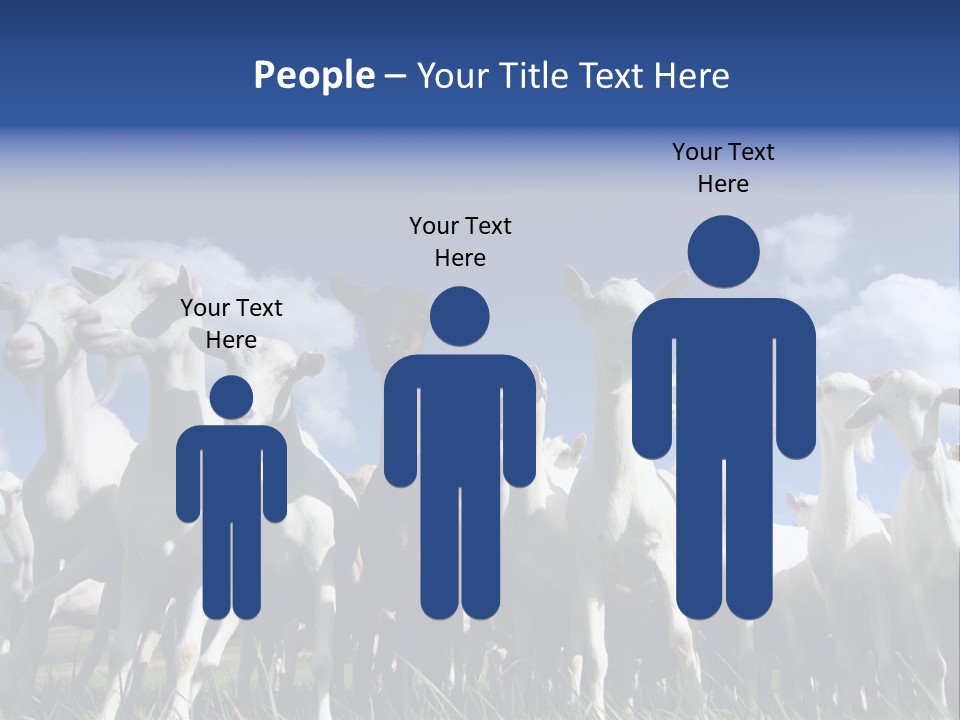 A Herd Of Goats, Seen From Below, Against A Blue Sky PowerPoint Template