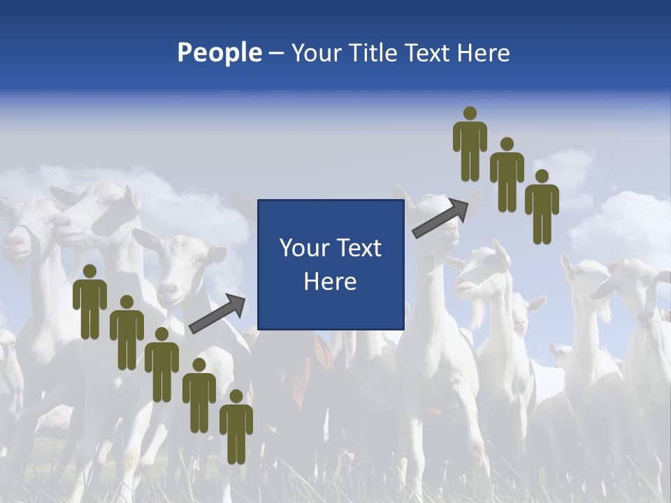 A Herd Of Goats, Seen From Below, Against A Blue Sky PowerPoint Template