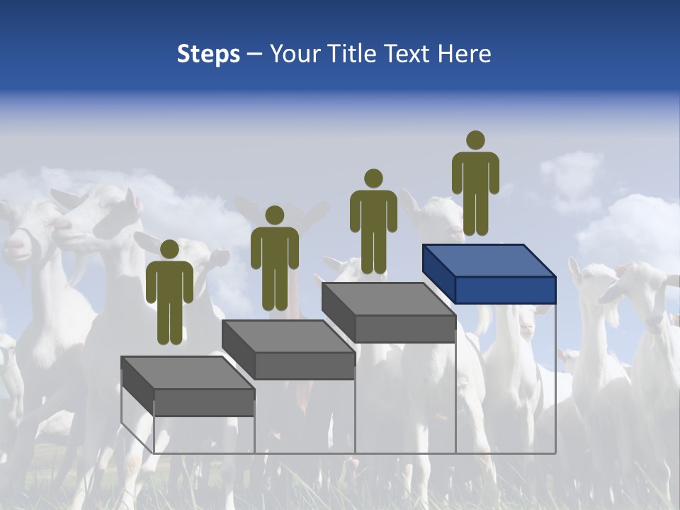 A Herd Of Goats, Seen From Below, Against A Blue Sky PowerPoint Template